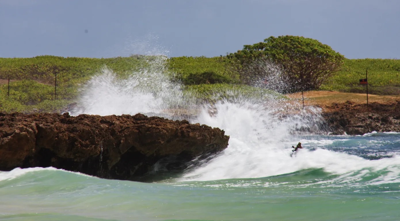 A wave breaks over dark volcanic rock at the end of a beach, with grass behind