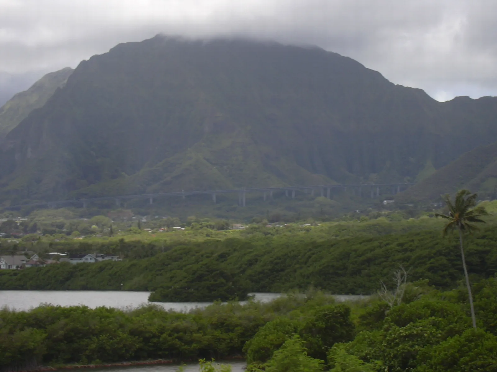 Mangroves and a quiet inlet below a cloud-covered green mountain