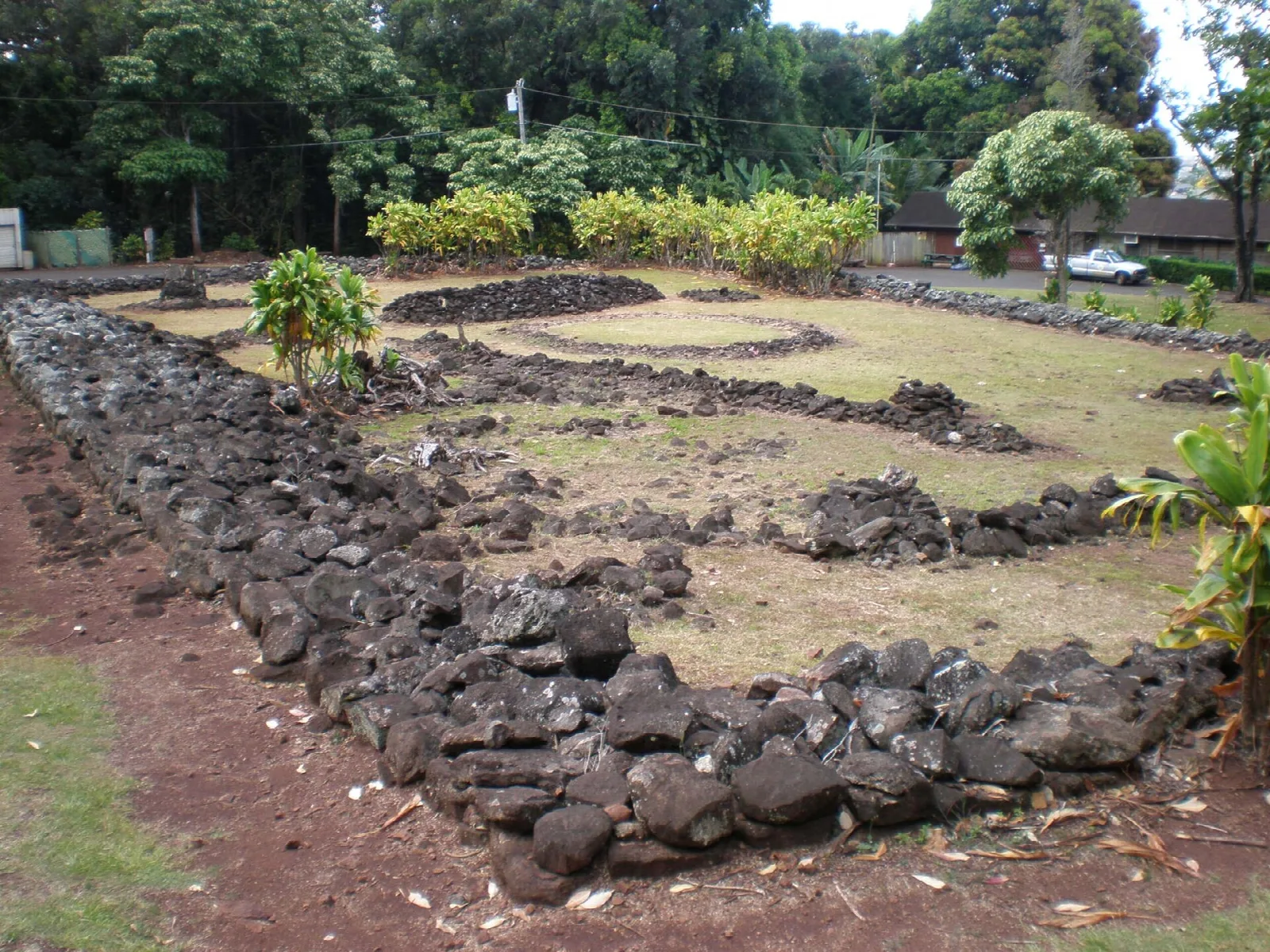 Low black stone walls outlining a heiau on a grassy site with trees behind