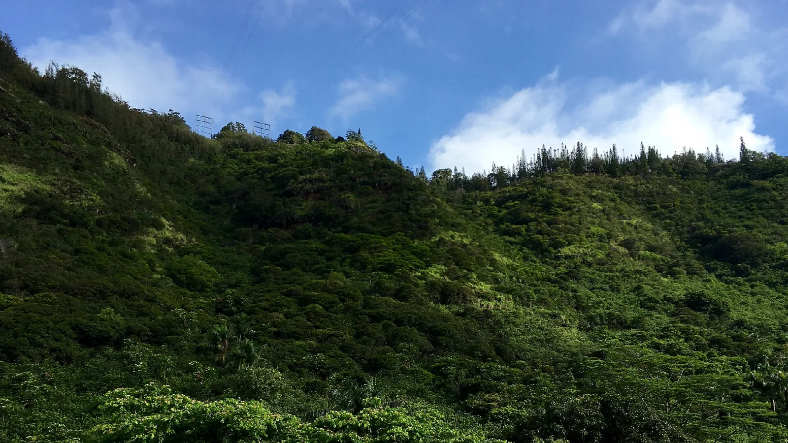 Steep forested hillside under blue sky with clouds