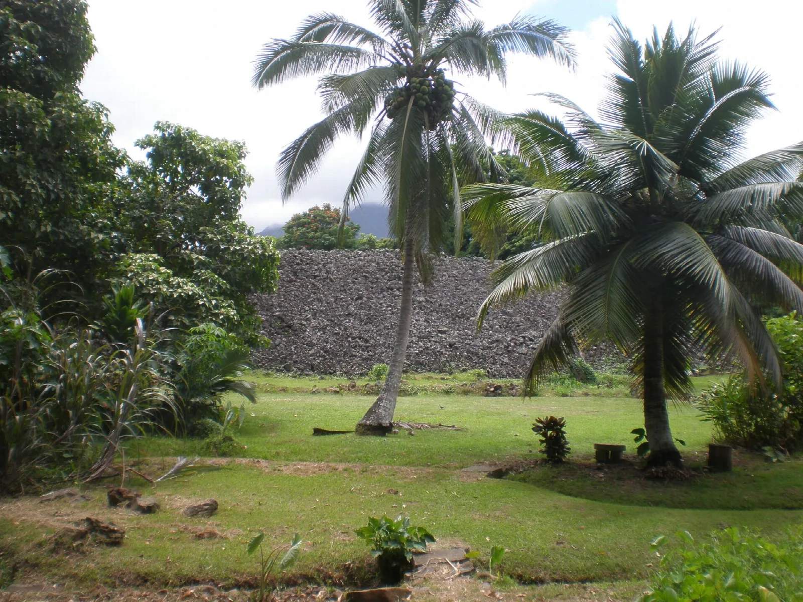 Grassy lawn with palms in front of a tall stone platform wall