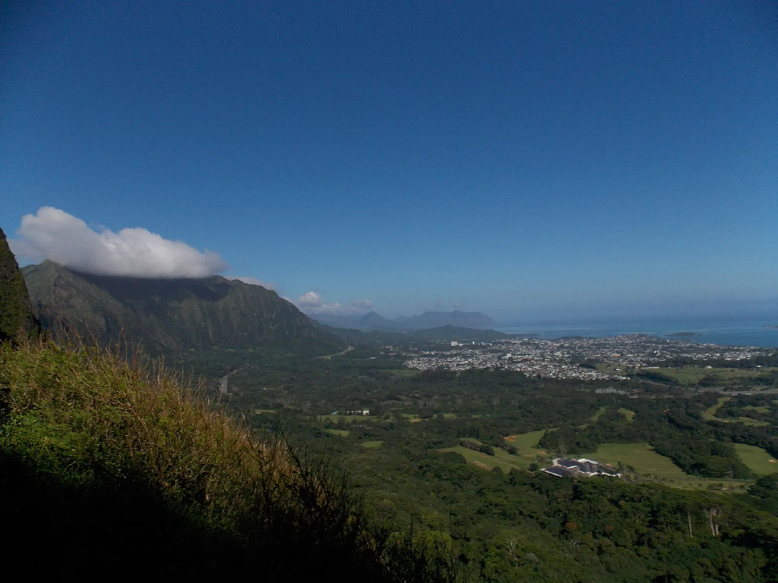Green mountain ridge and valley floor stretching to the ocean