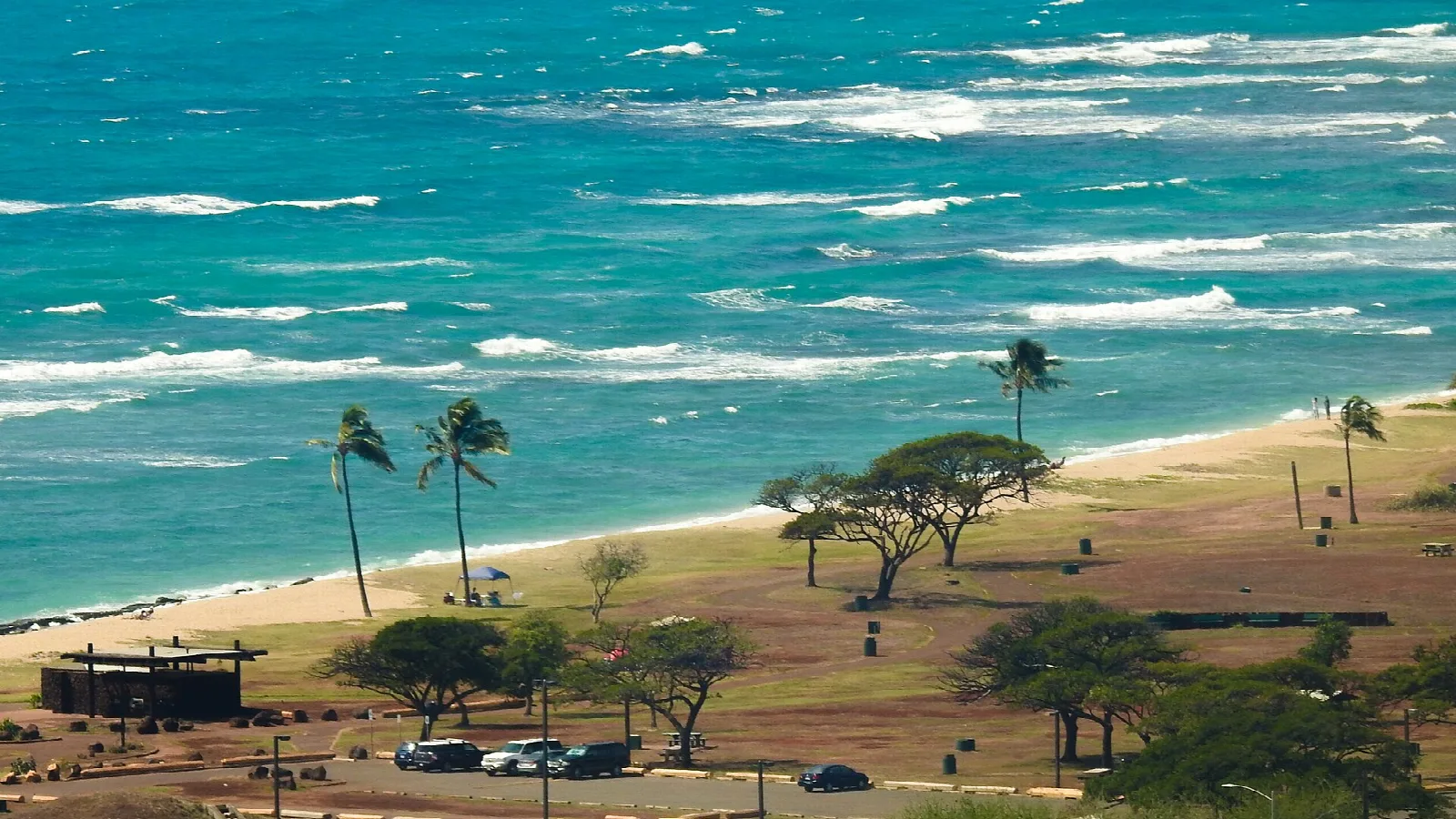 Turquoise surf along a sandy beach with palm and shade trees behind