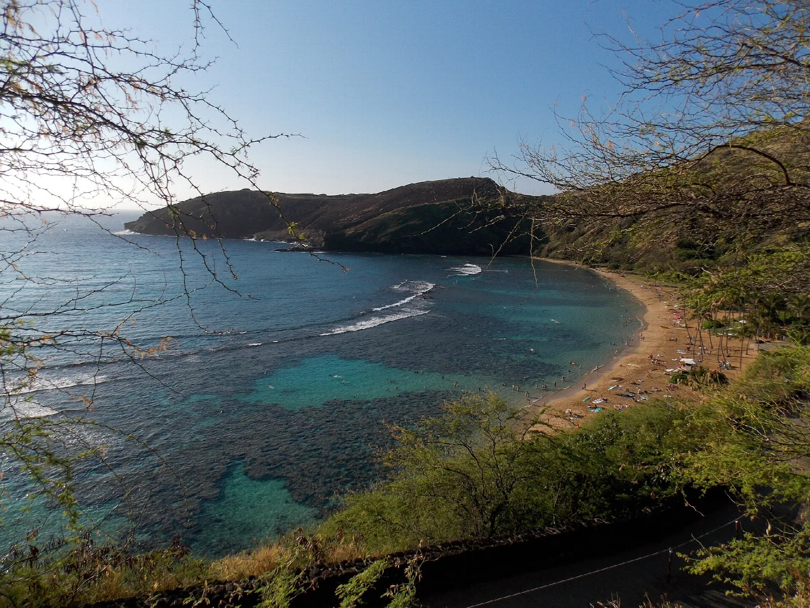 Bay with reef patches and a curved sandy beach seen from the slope above