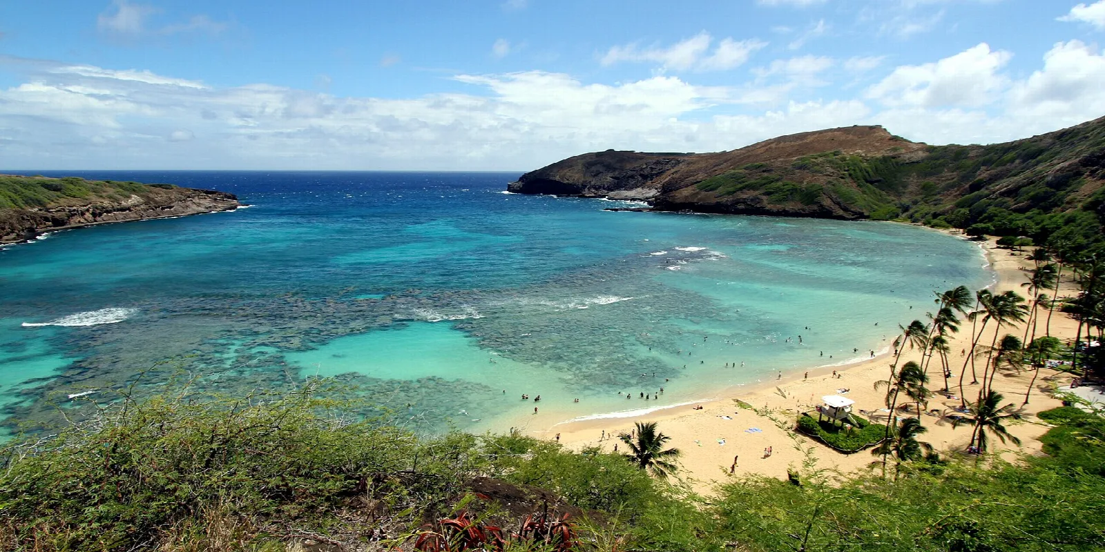 Wide sandy beach with palm trees beside a reef-filled turquoise bay