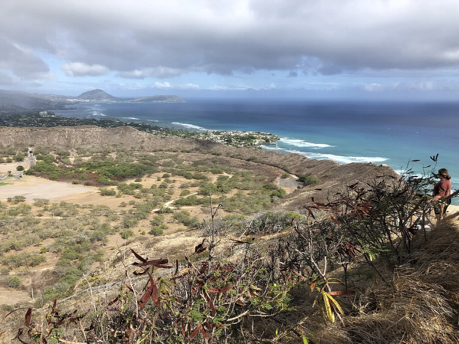 Coastline and open ocean seen from the summit over scrubby slopes