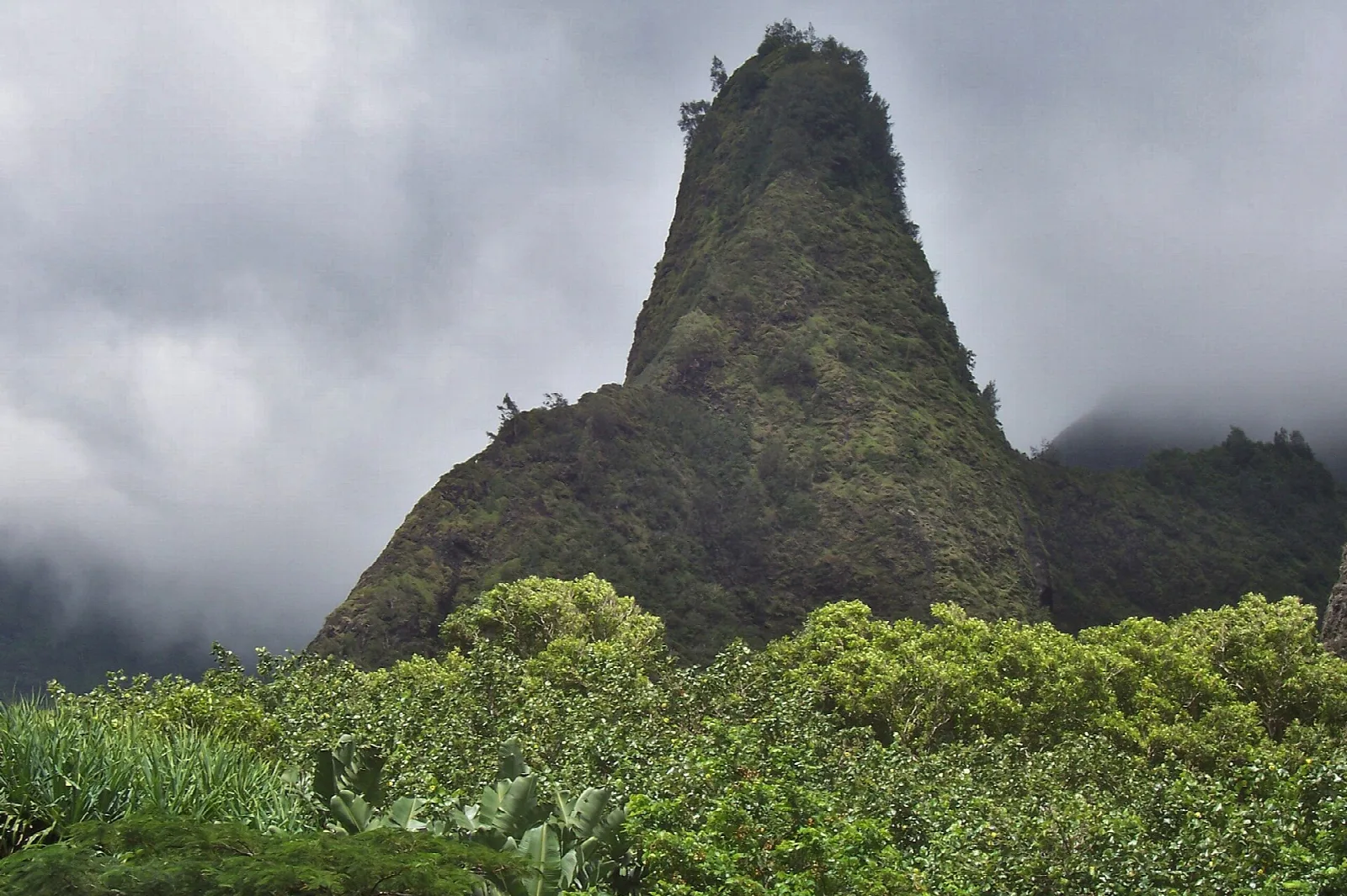 Tall green rock spire rising above forest under cloudy skies
