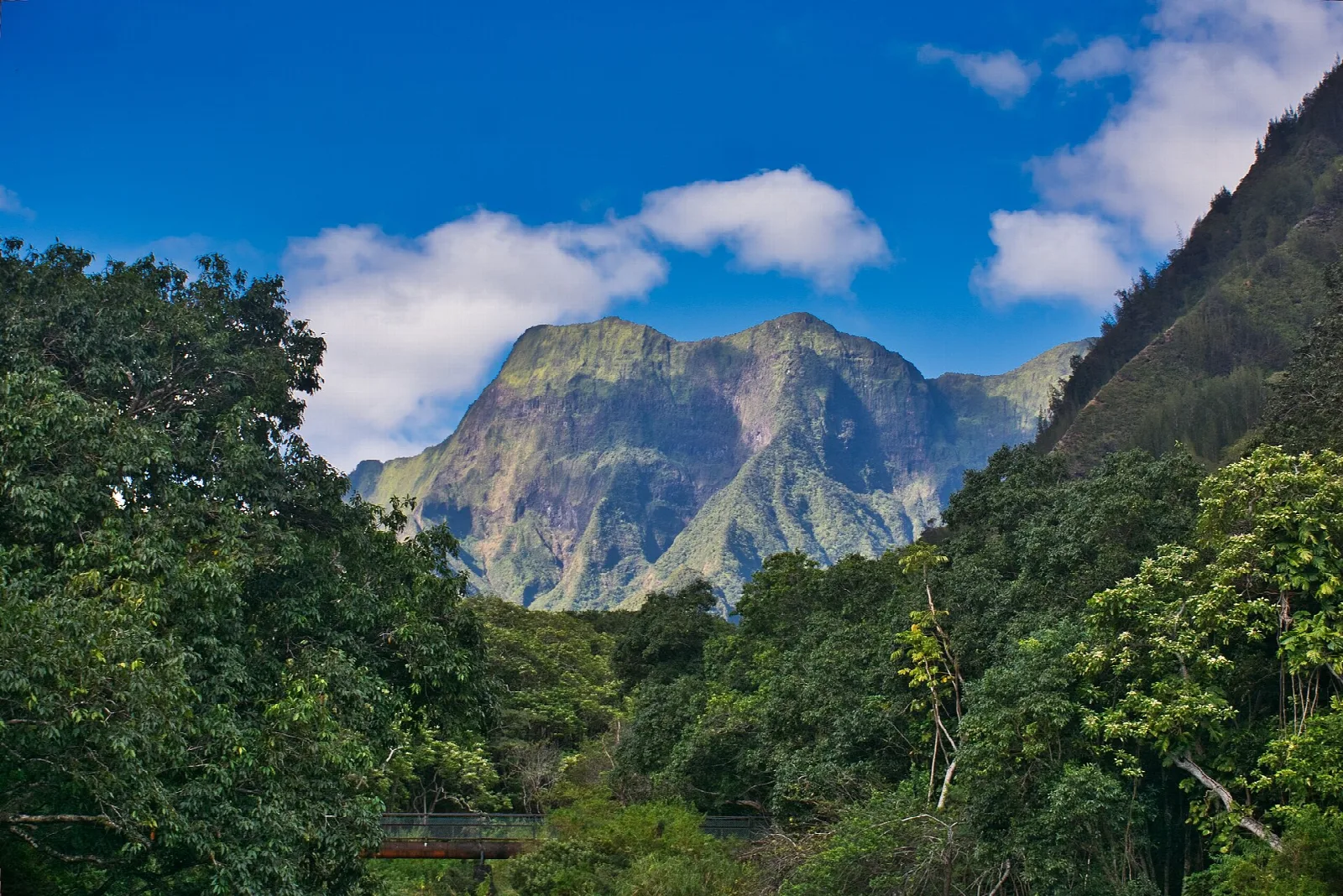 Dense jungle in the foreground with West Maui mountains under a blue sky