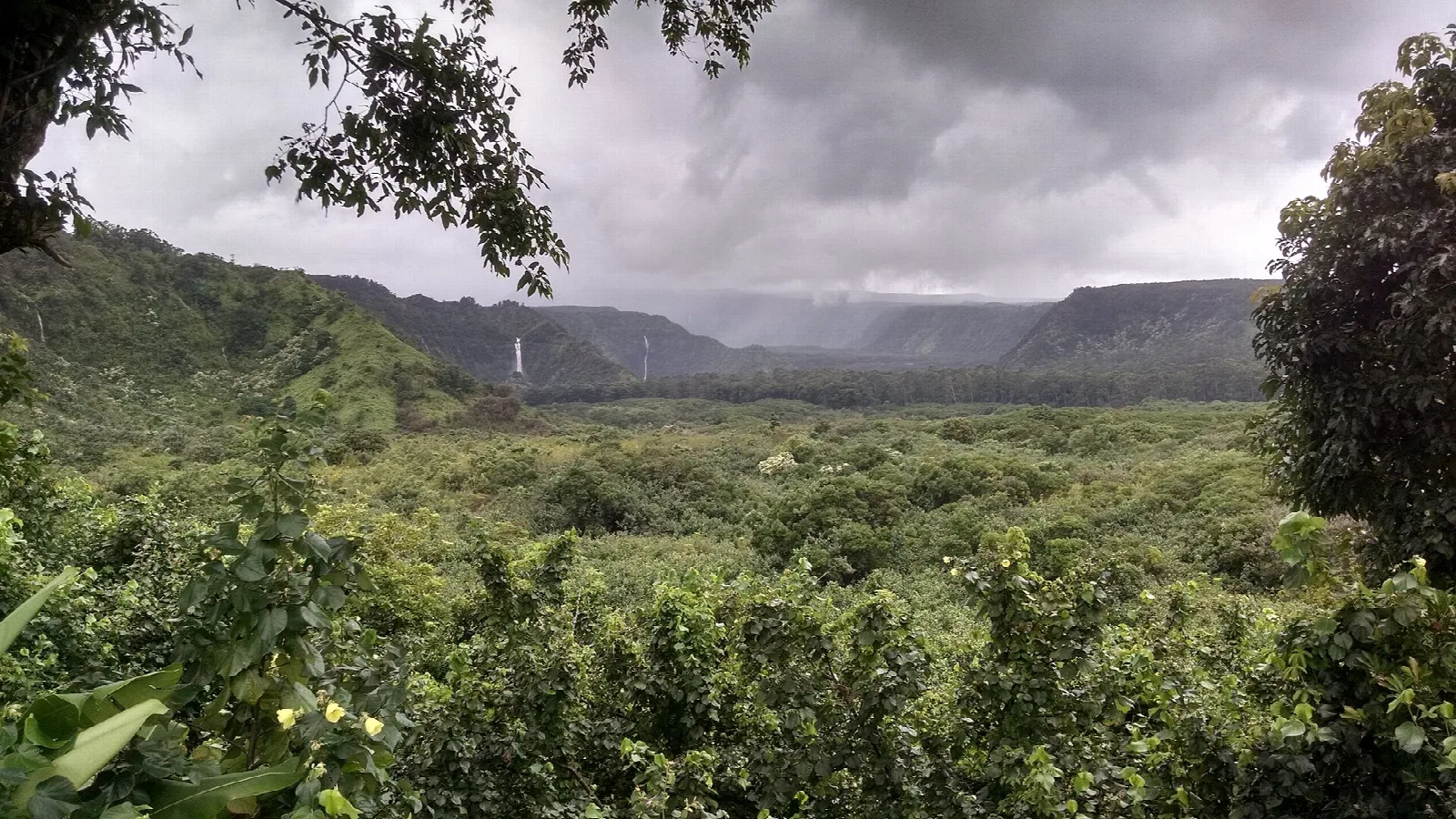 Green valley with distant waterfalls under a gray sky, seen through trees
