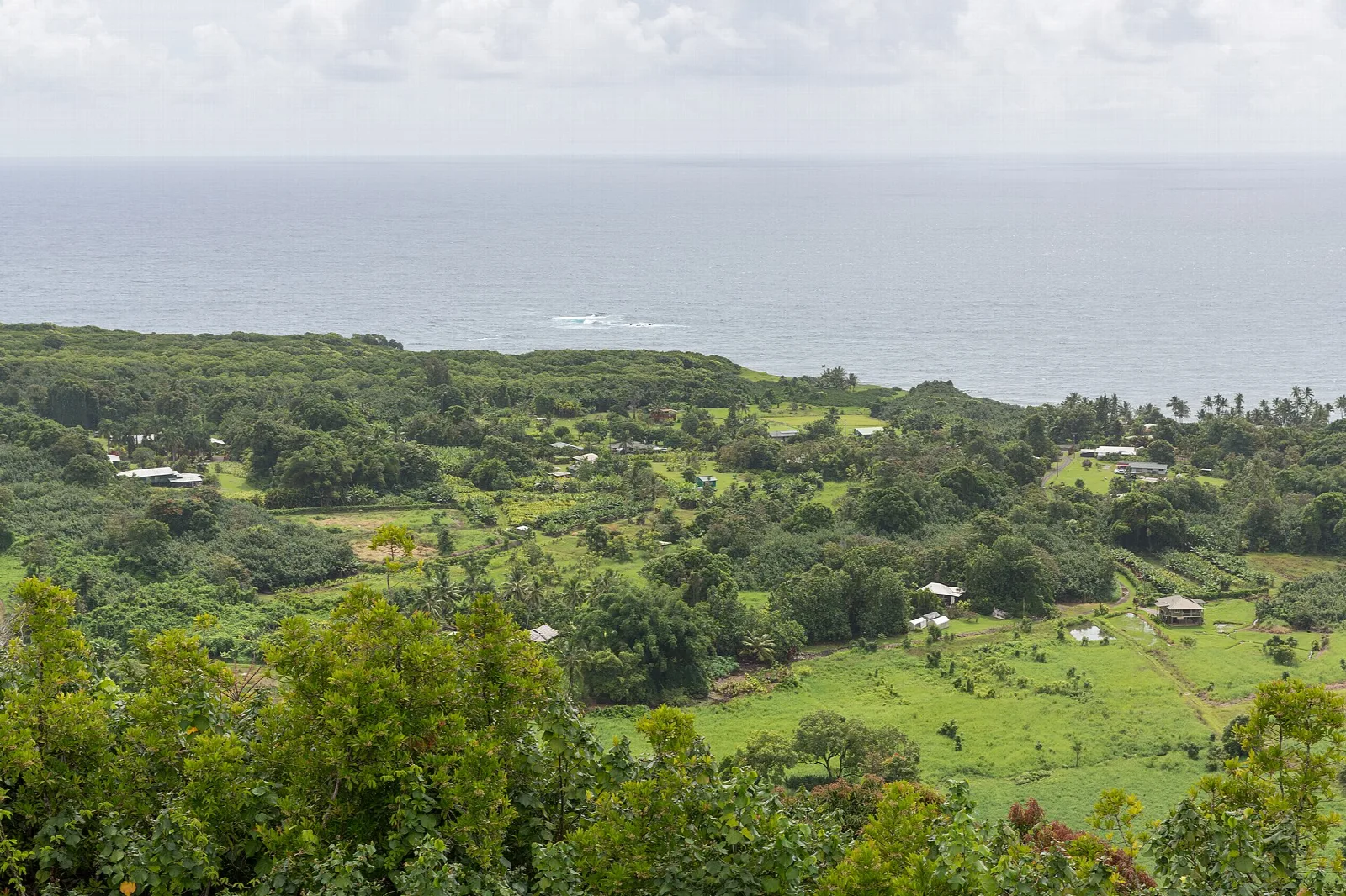Green farmland sloping down to the ocean in Wailua Valley