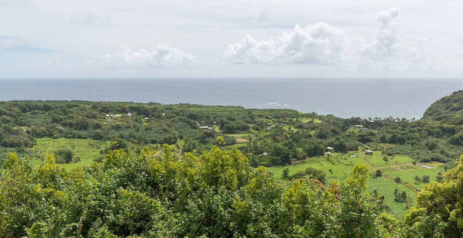 Wooded valley floor and fields meeting a flat gray ocean