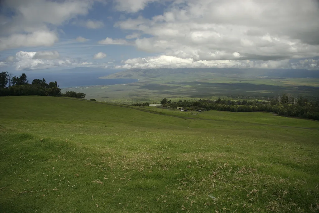 Grassy hillside looking out over the Maui lowlands under scattered clouds