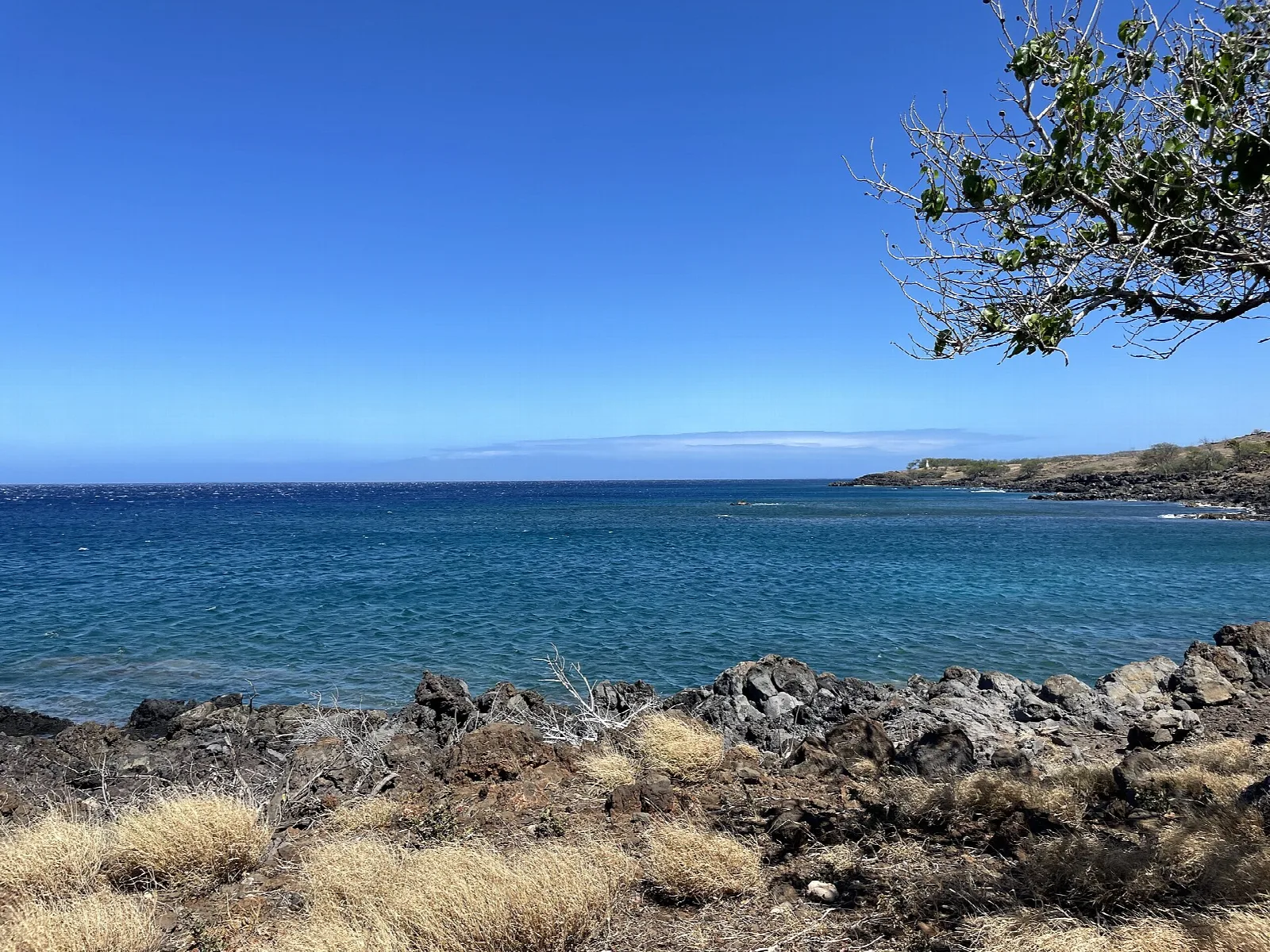 Clear blue sea and a rocky dry coast