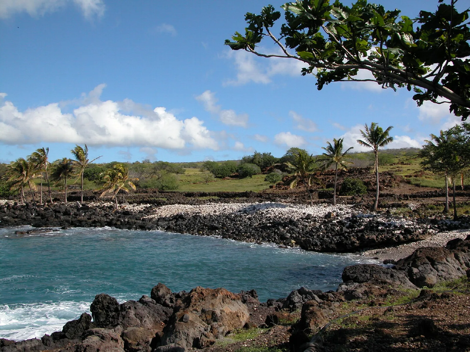 Small sheltered cove with lava rock shoreline and palm trees