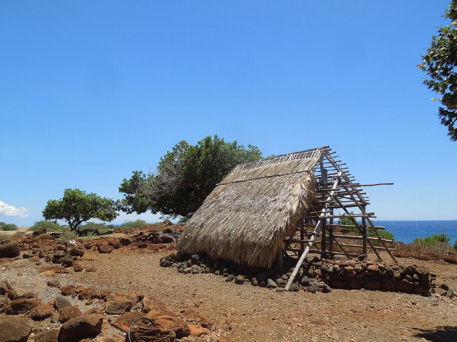 Thatched structure on a rocky site with a tree and blue sky