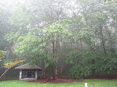 Kalopa State Recreation Area