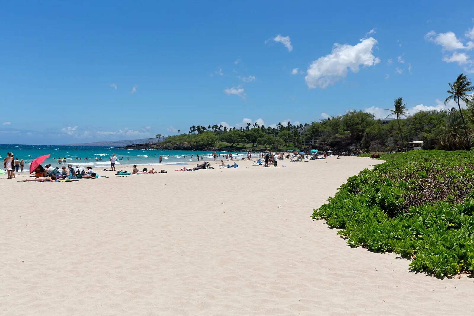 White sand beach with beachgoers, green shrubs and a blue sky