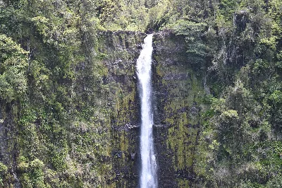 Akaka Falls State Park