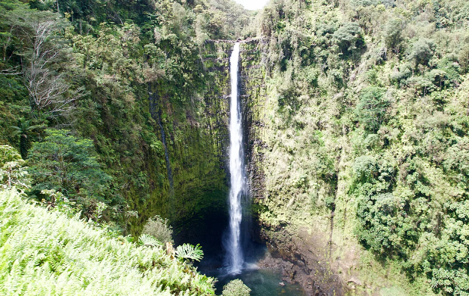 Waterfall plunging into a pool inside a green gorge