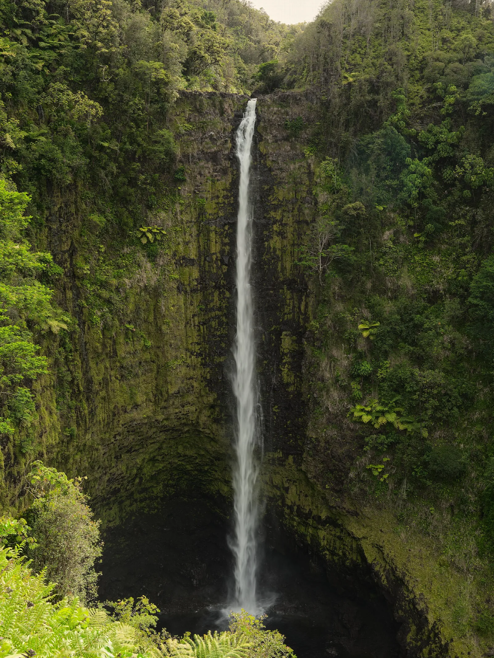 Slender waterfall falling down a mossy cliff into the forest
