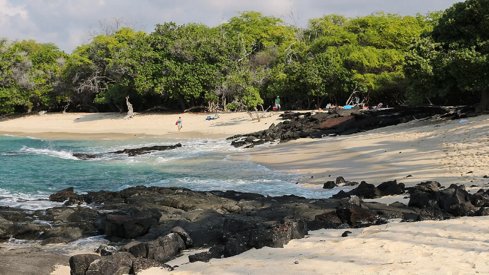 Sandy beach edged by green trees and dark lava rocks