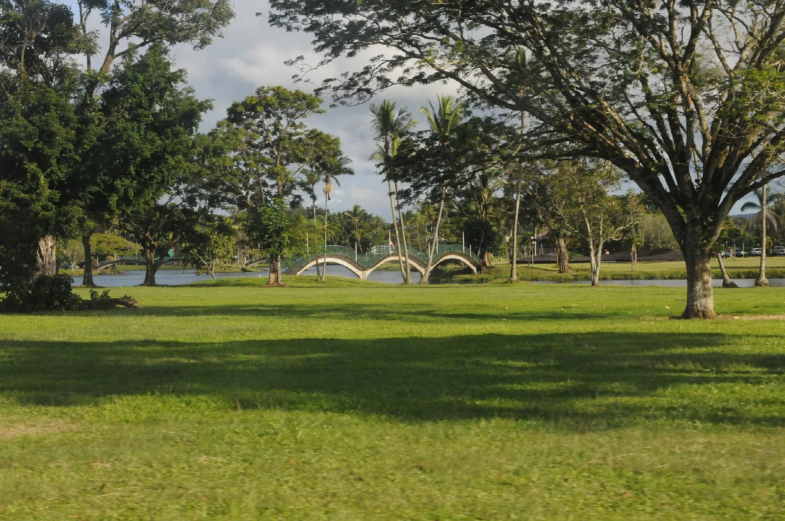 Lawn and shade trees with a small arched bridge in the distance