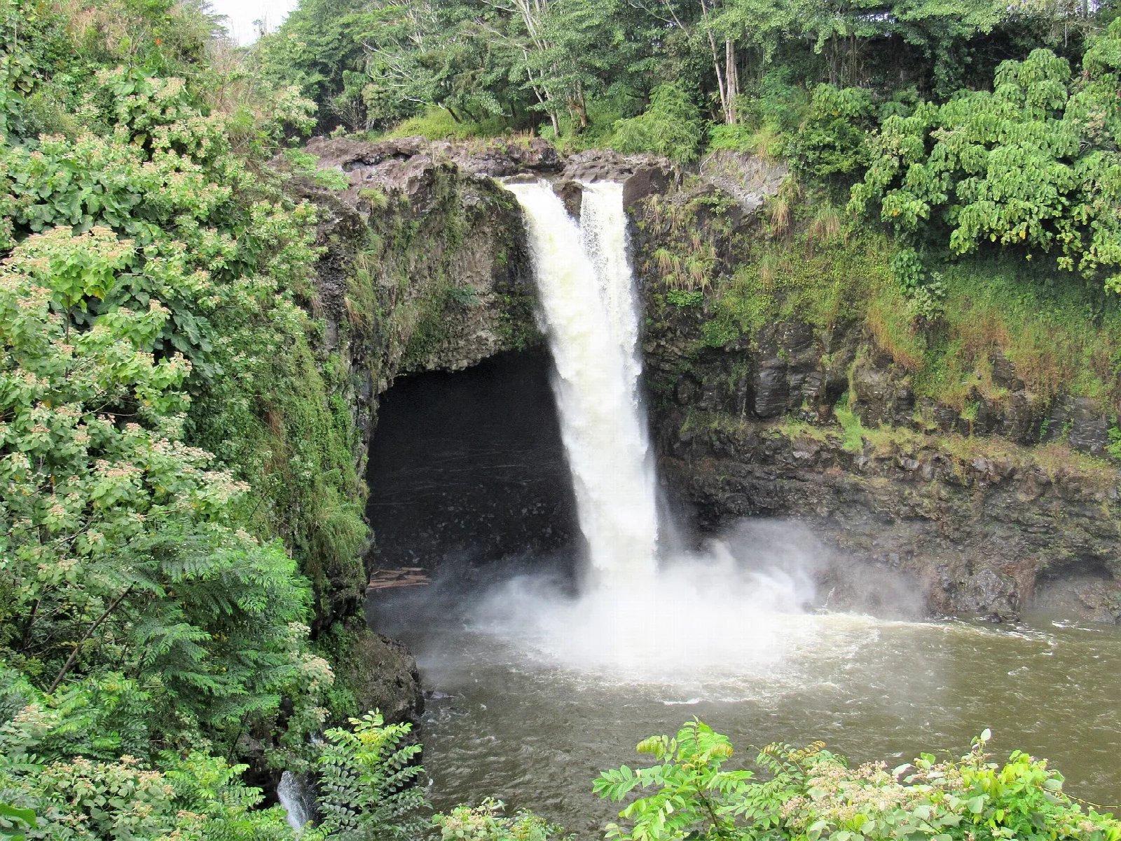 Waterfall falling into a pool below a cave, ringed by green forest