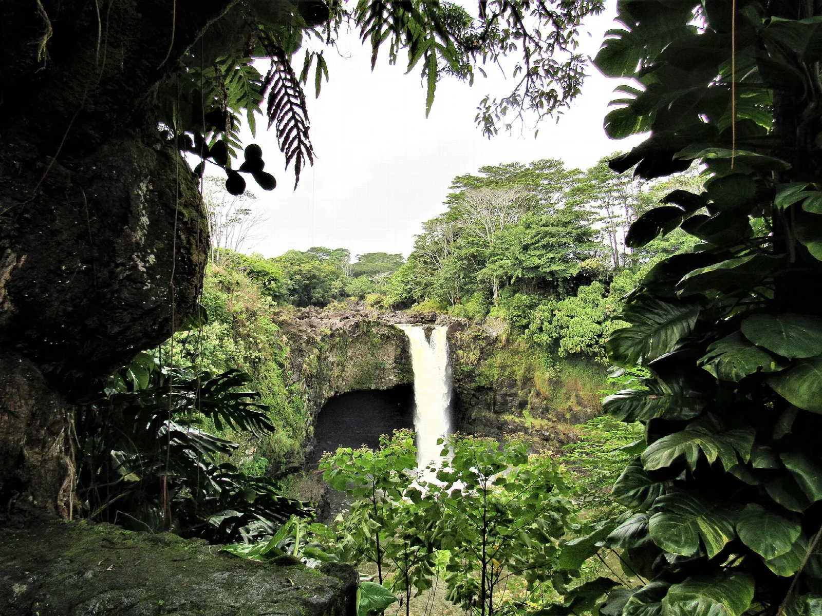 Distant waterfall seen through dark foliage