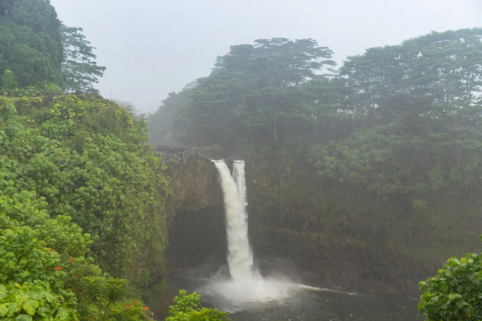 Waterfall in misty green forest seen from a lookout