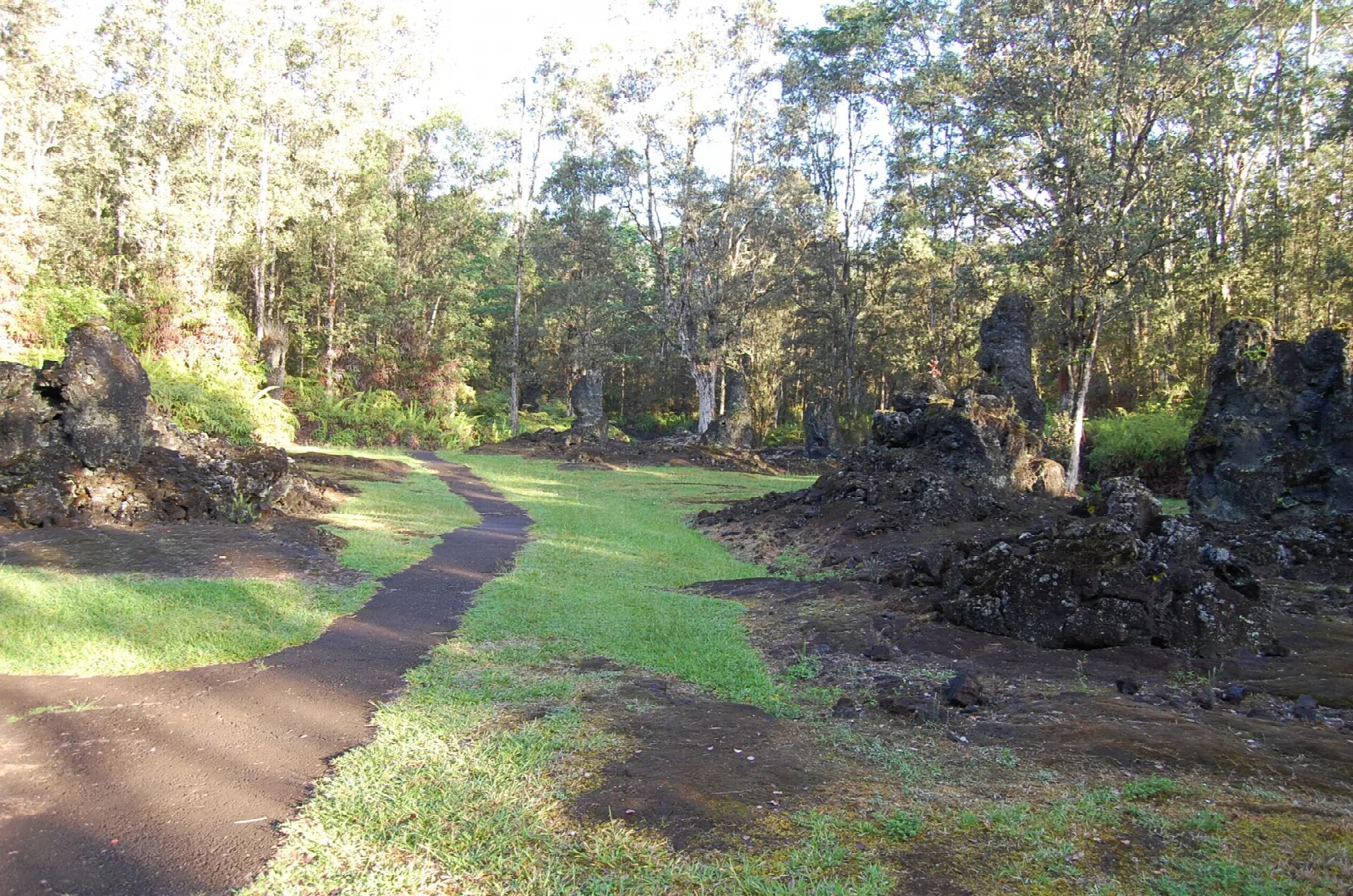 A paved path curving through grass toward lava tree molds and trees