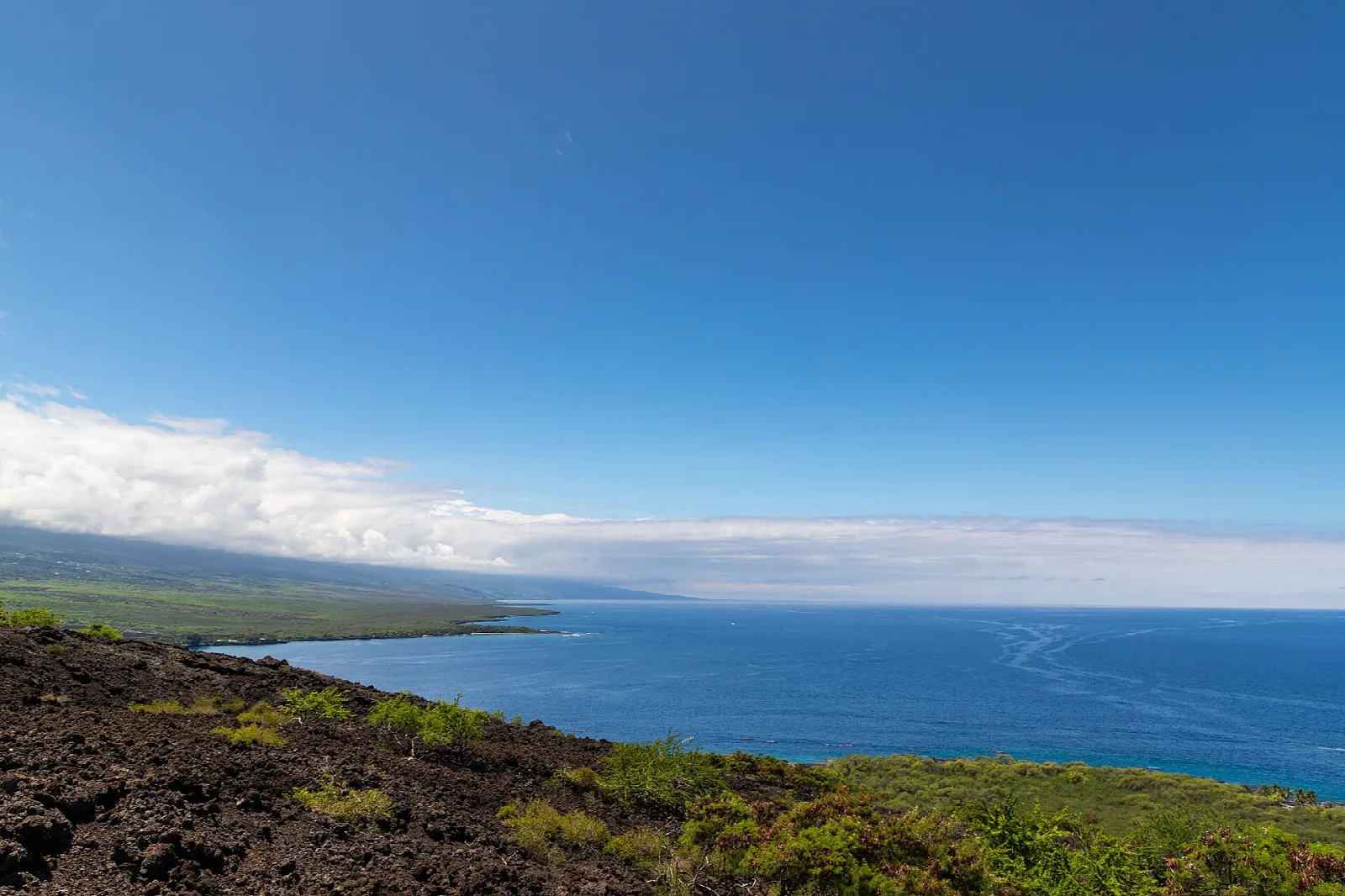 Dark lava ground and green plants above a wide blue ocean