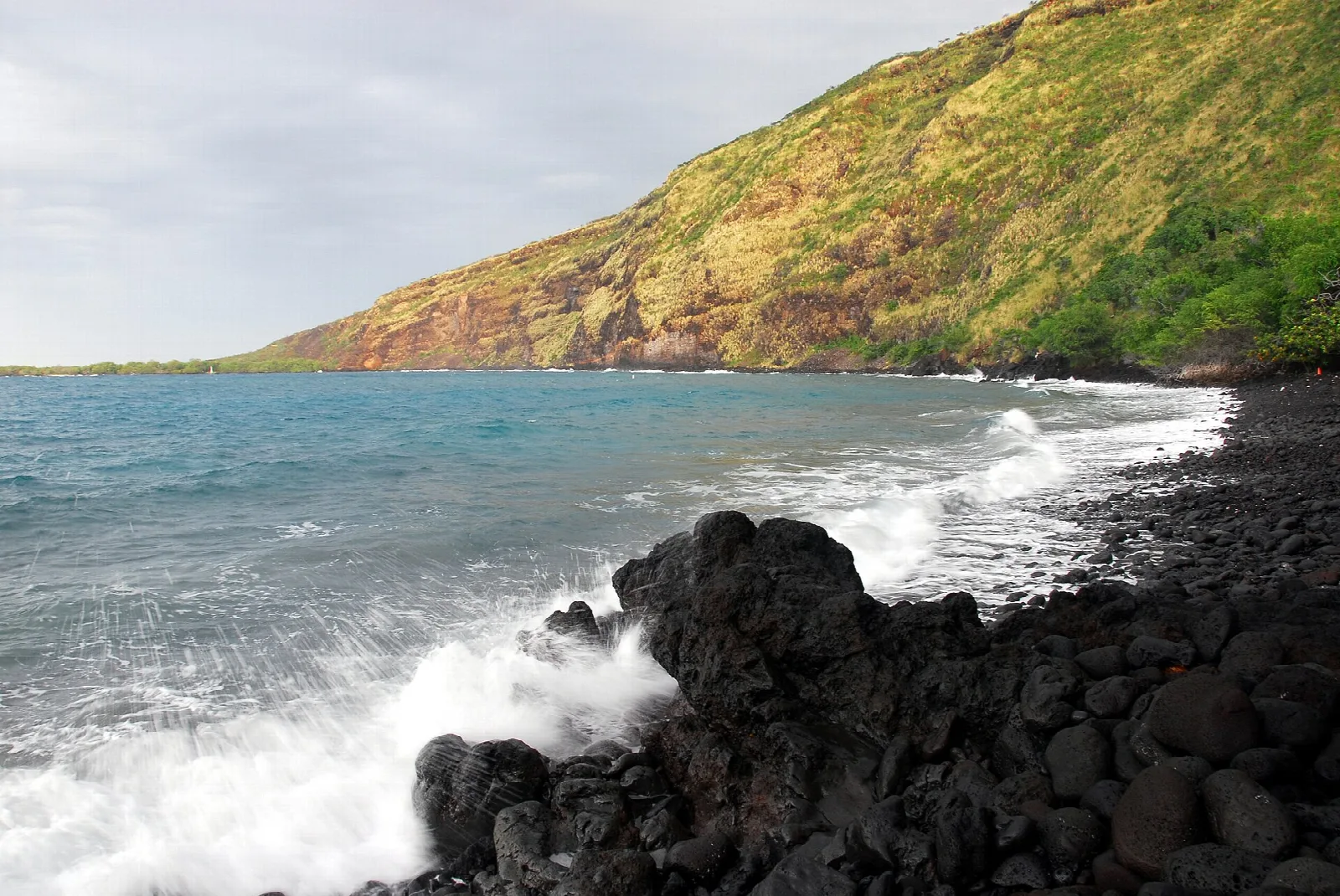 Waves breaking on black lava rocks below a green hillside