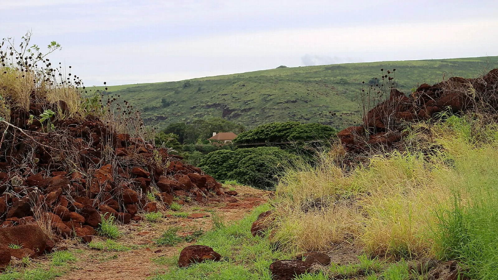 A rock wall and a grassy green hillside