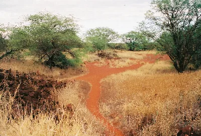 Russian Fort Elizabeth State Historical Park