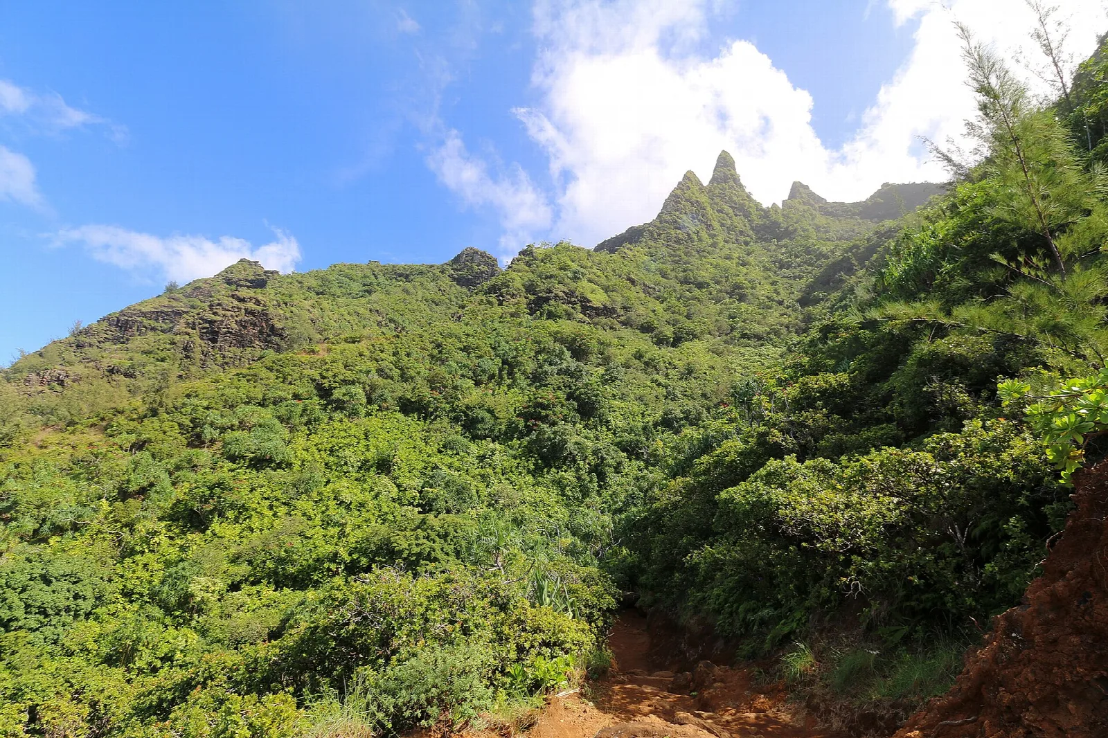 Green ridgeline with jagged peaks above a dirt trail