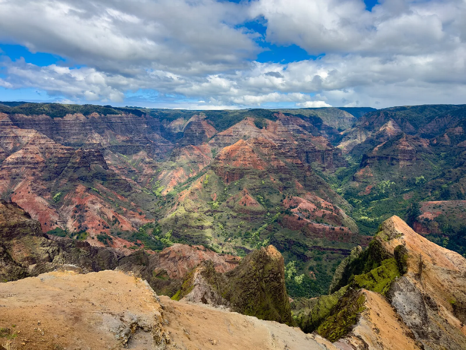 Red rock cliffs in the foreground overlooking a wide canyon