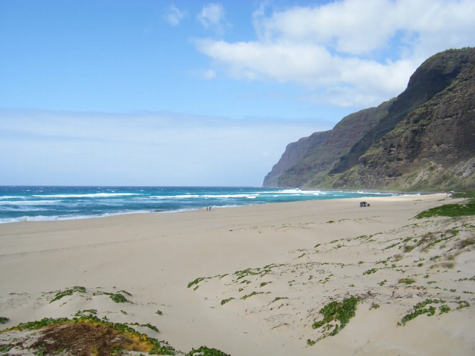 A wide sandy beach and dunes with tall sea cliffs at the far end
