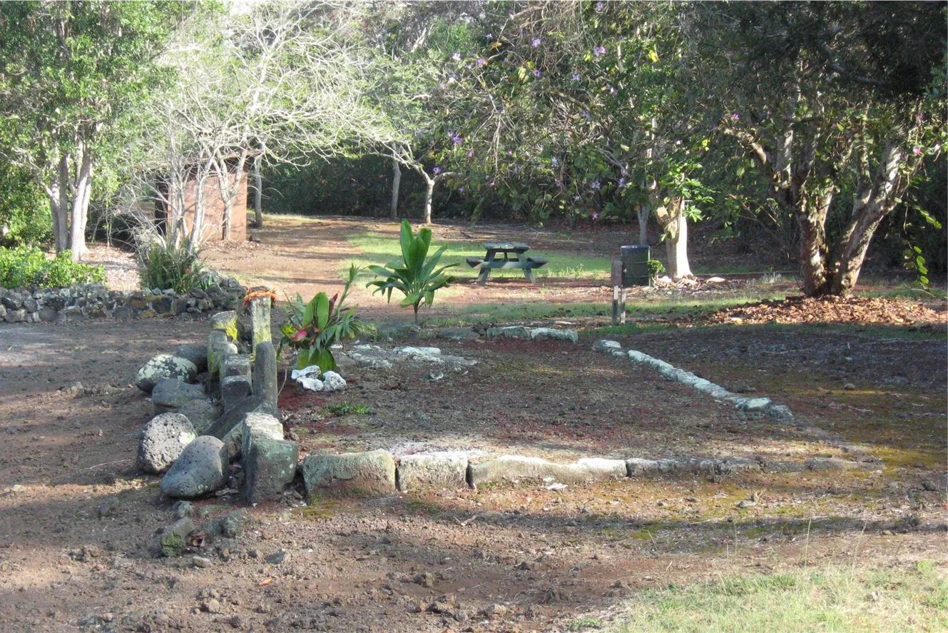 A shaded grassy clearing with a picnic table, trees and a low stone-outlined plot