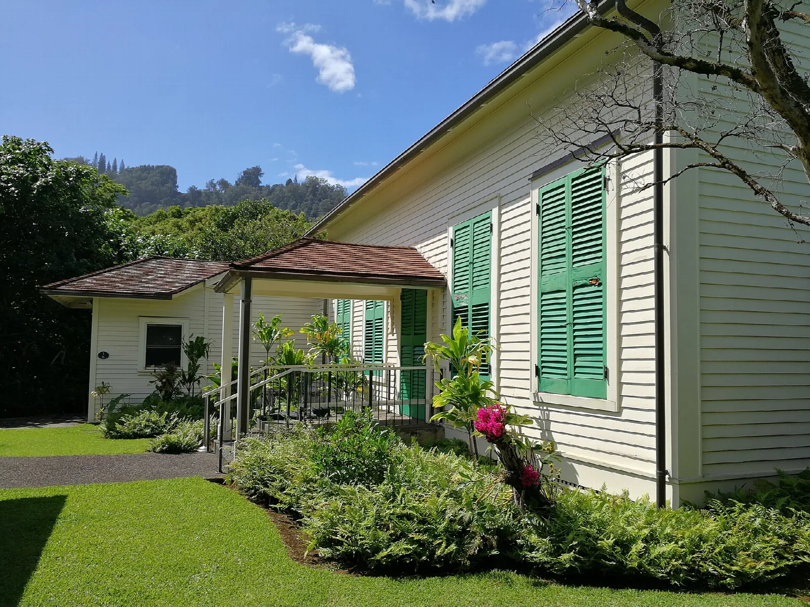 The side of a white house with green shutters and flowering plants