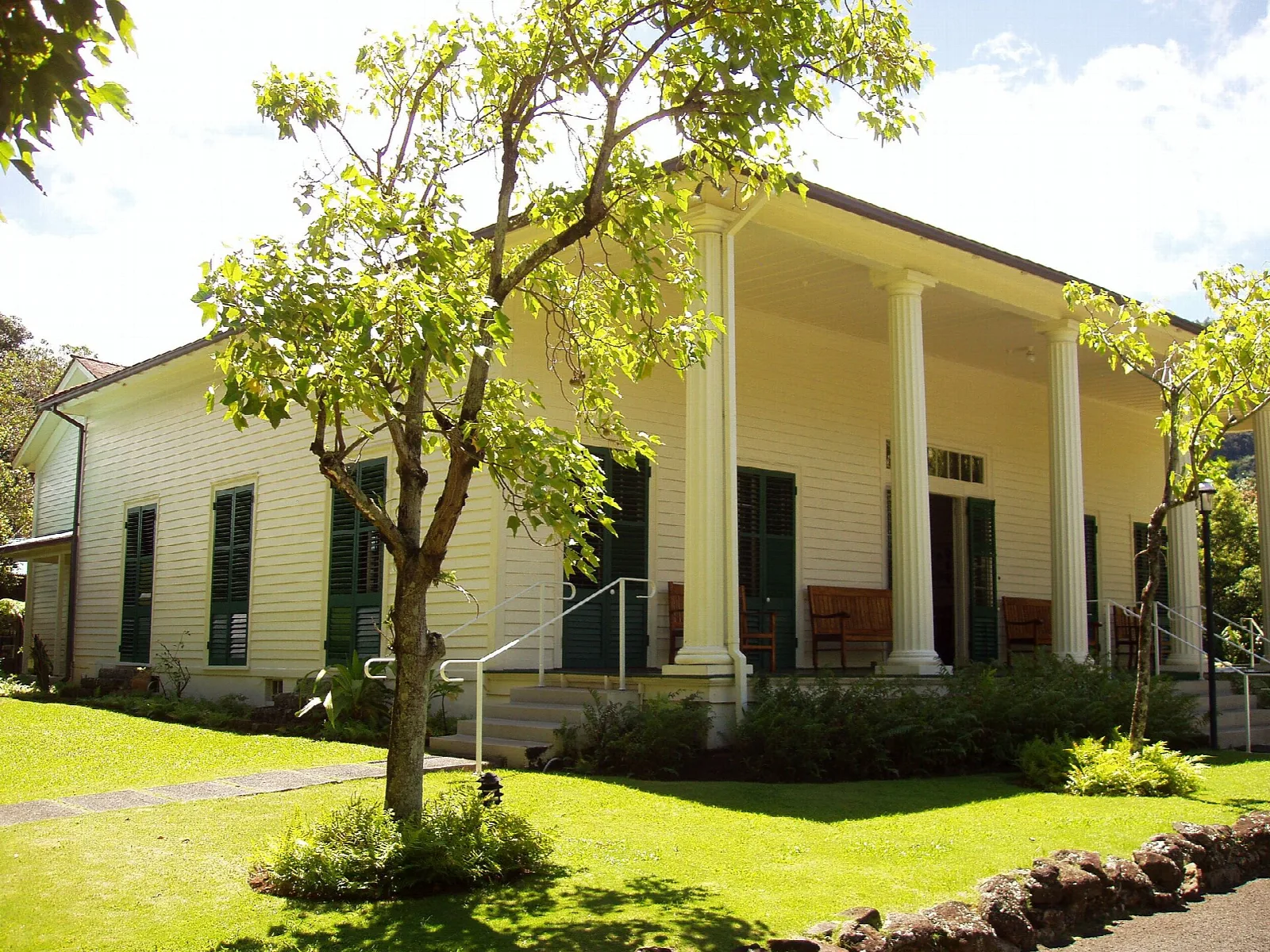 A white columned house with green shutters under a leafy tree
