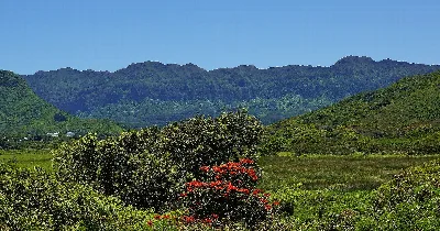 Kawainui Marsh State Park Reserve