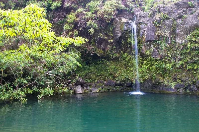 Puaa Kaa State Wayside