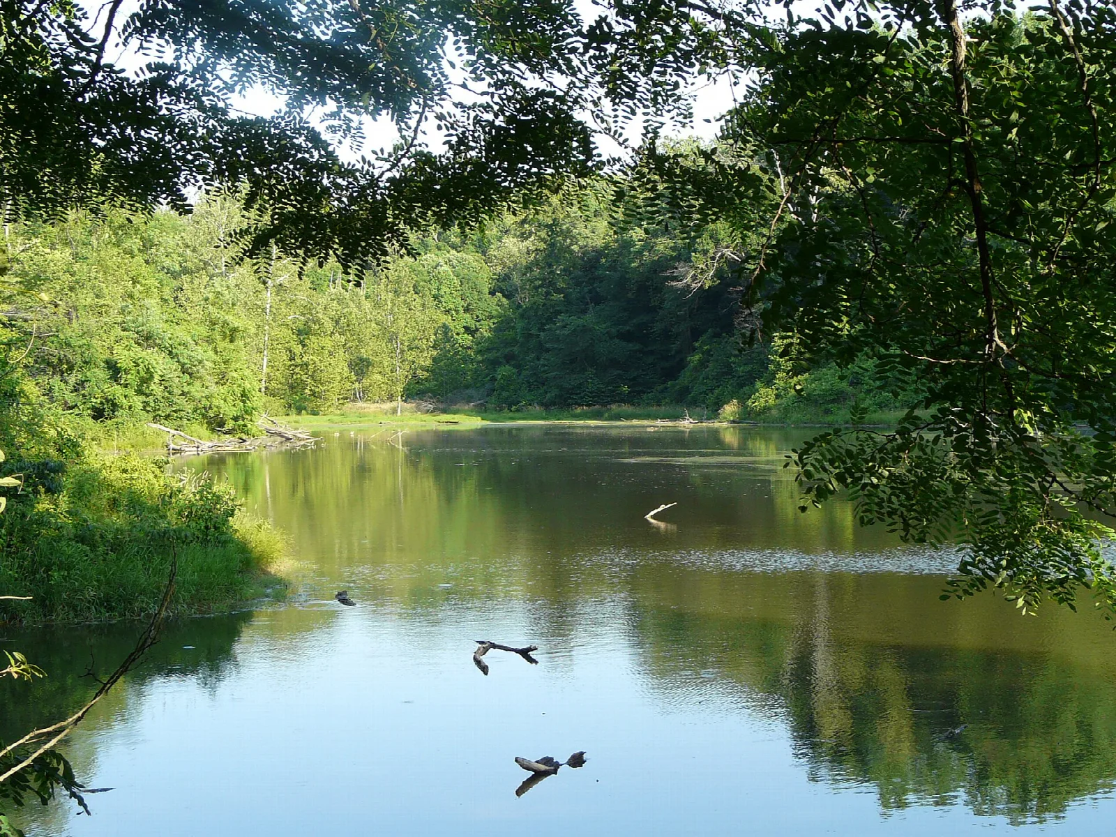 Calm lake with green trees along the shore and reflections on the water