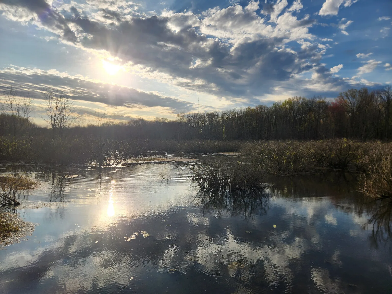 Still wetland water reflecting a cloudy sky and bare trees