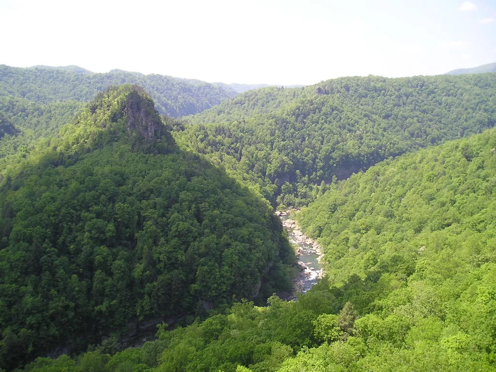 Forested mountain peak above a river winding through the gorge