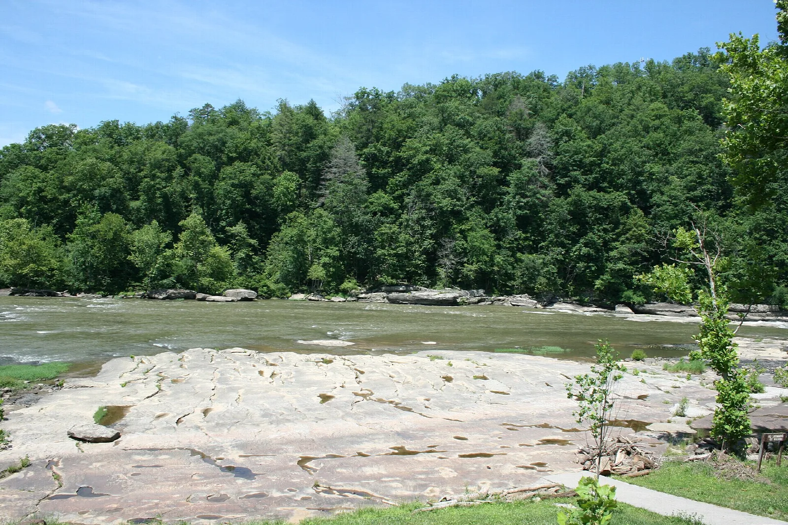 Flat rock shelf beside a broad river with forest on the far bank