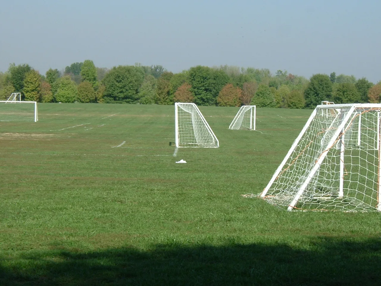 Open grass field with soccer goals and trees along the far edge