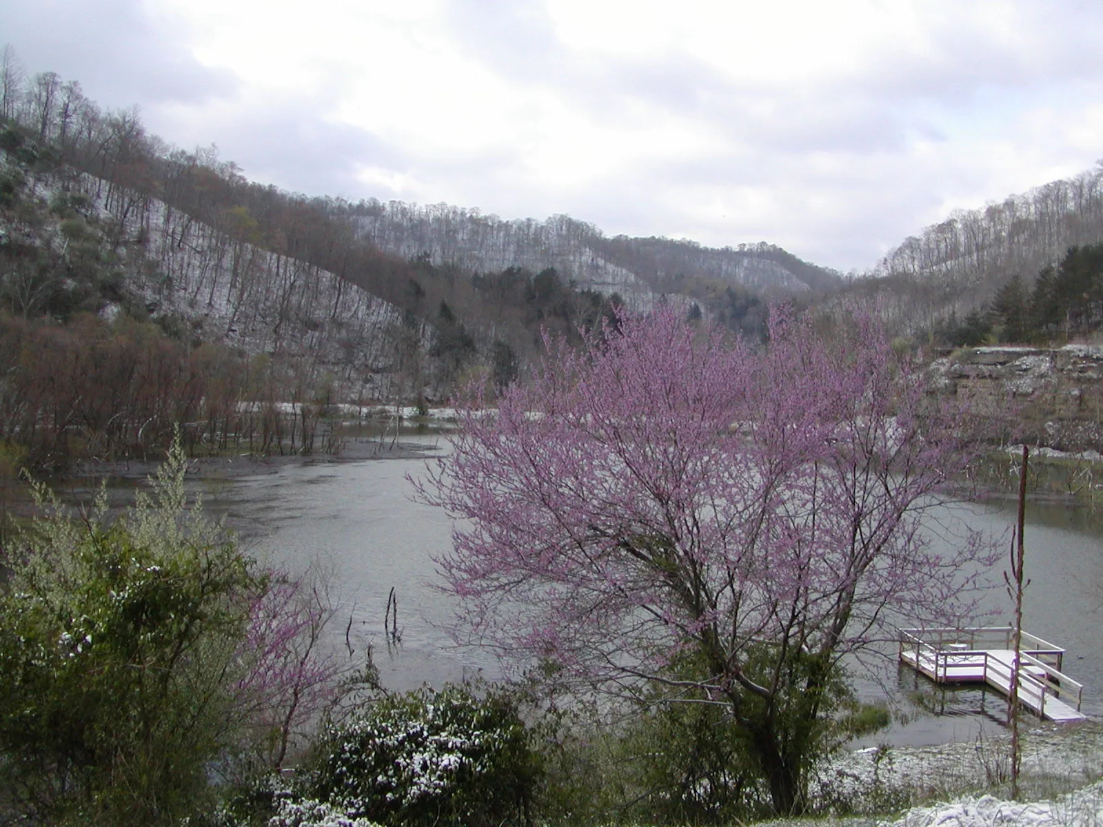 Lake among snow-dusted hills with a blooming redbud tree and a dock in the foreground