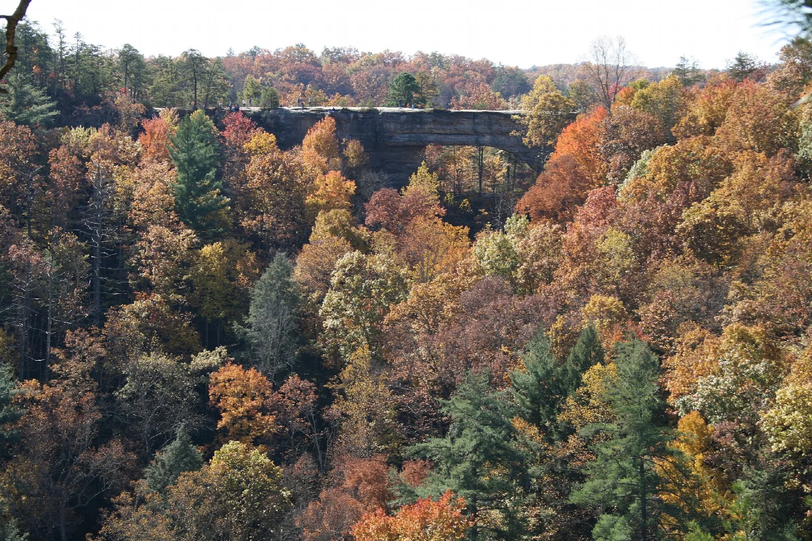 Forested hillside in fall colors with a sandstone arch visible in the distance