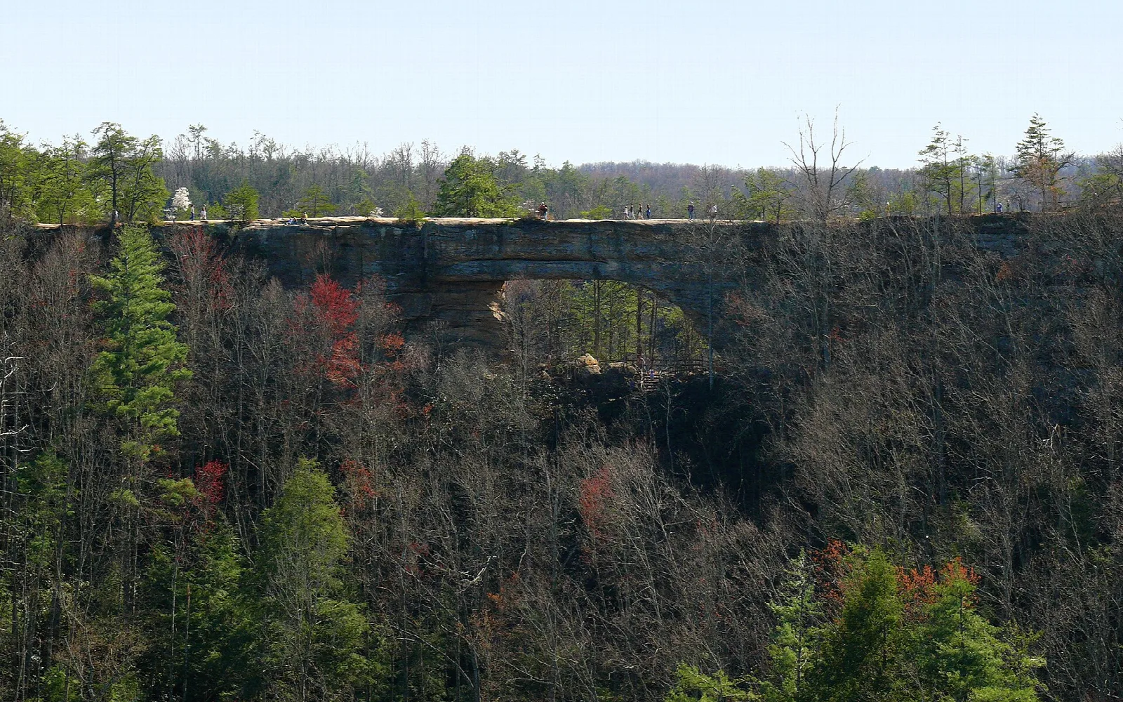 Long sandstone arch spanning a wooded valley, seen from an overlook